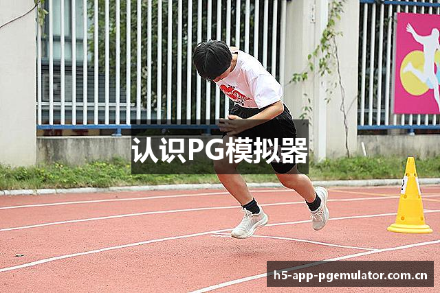 认识PG模拟器